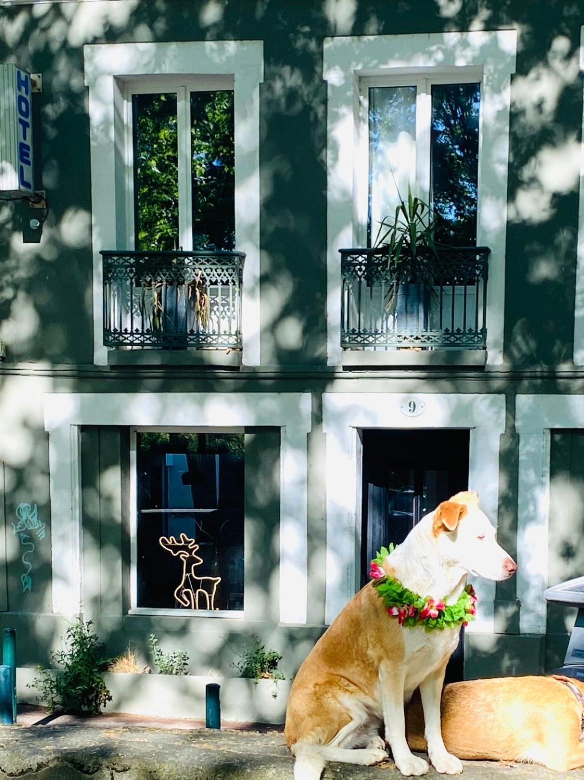 Superbe Grande Maison - Amis - Familles - Entreprises トゥールーズ エクステリア 写真